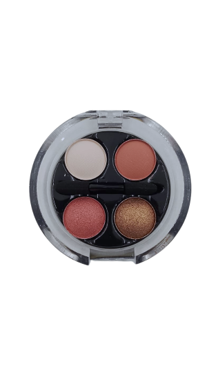 PINK 21 PALETA DE SOMBRA MY ONLY NEED COR 01 2.4G 