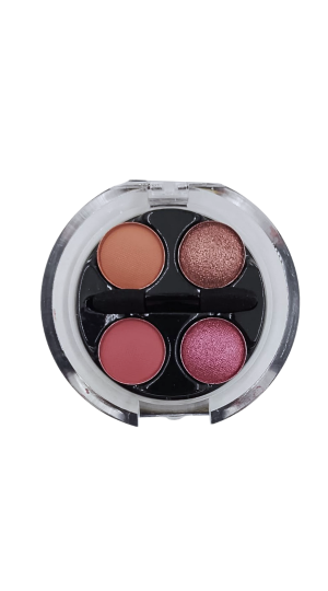 PINK 21 PALETA DE SOMBRA MY ONLY NEED COR 03 2.4G 